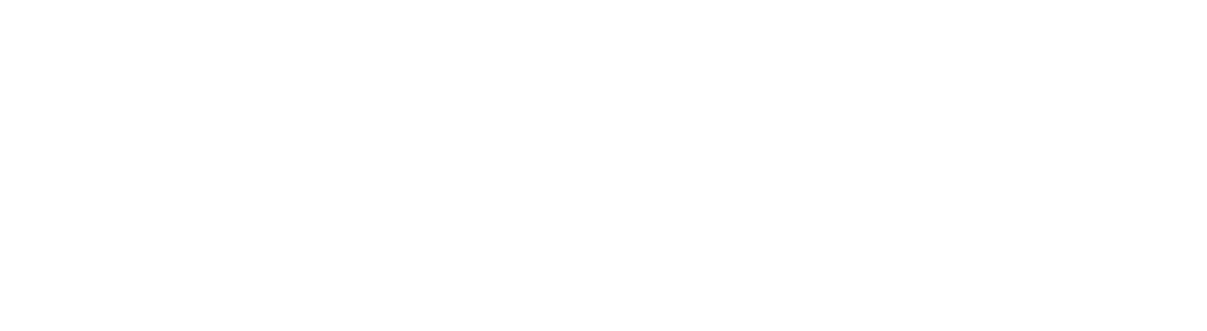 logo-bianco-ritaglio
